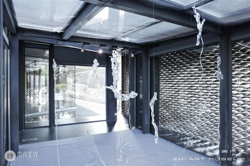 端午看展+龙舟竞渡|夏日小长假攻略提前剧透! 崇真艺客