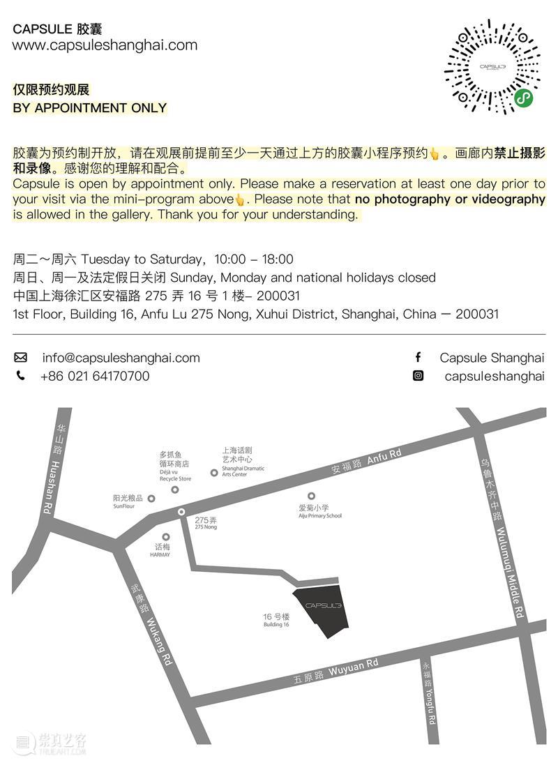 胶囊｜陈丽同｜近期动态 崇真艺客
