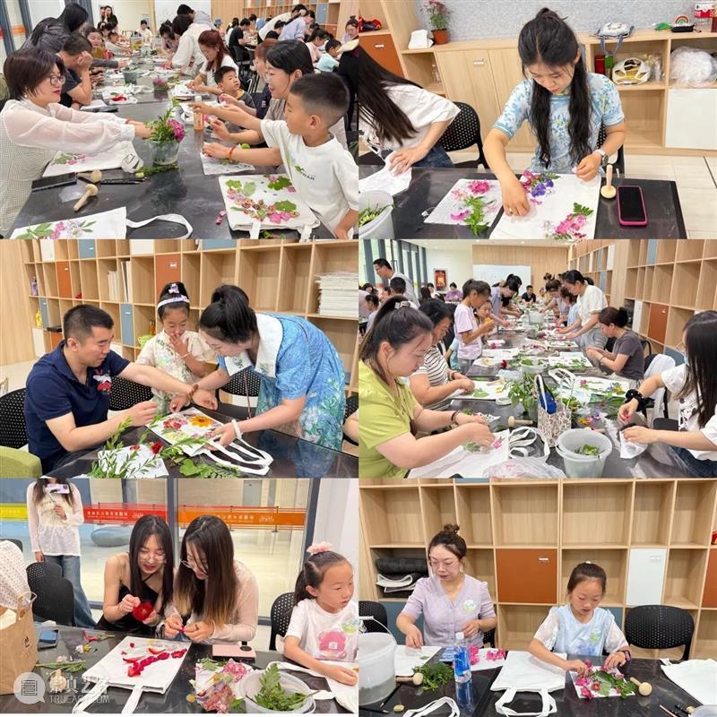 活动回顾丨端午寻踪 草木留痕 崇真艺客