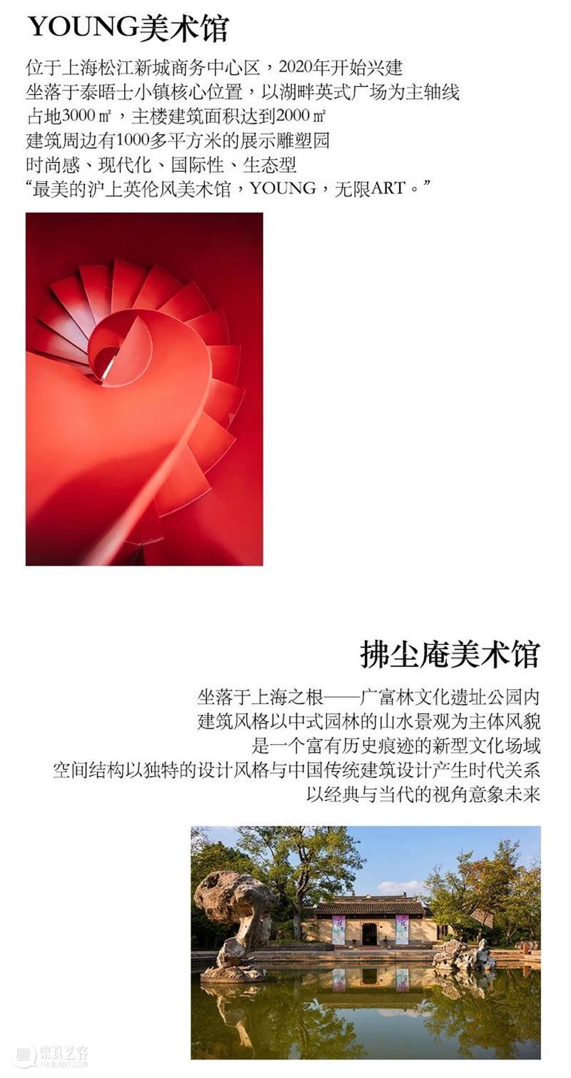 公告|YOUNG美术馆携手东权艺校 启动艺术教育新场域 崇真艺客