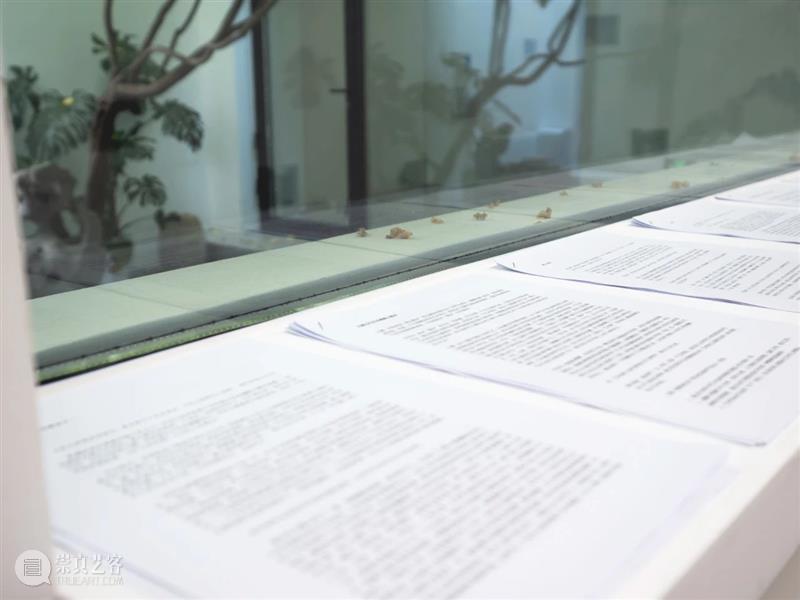 周末项目 | 《燕山散步》项目文献展 | 开幕&放映回顾 崇真艺客