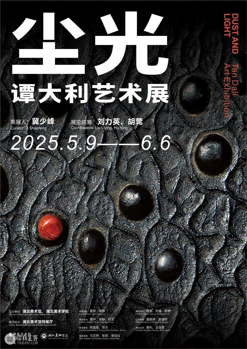 评论丨曾静、柳淳风:尘光——谭大利艺术展 崇真艺客