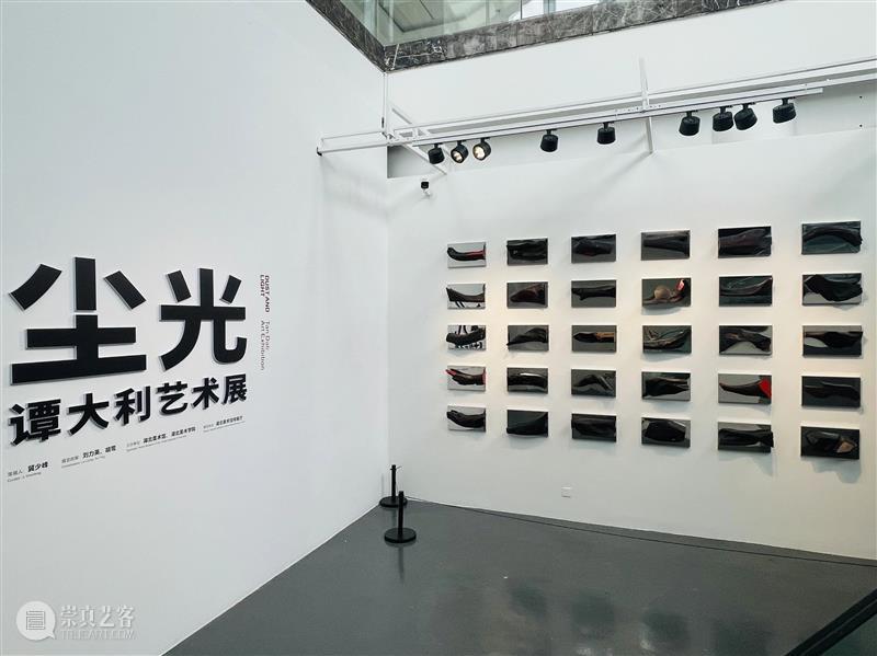 评论丨曾静、柳淳风:尘光——谭大利艺术展 崇真艺客