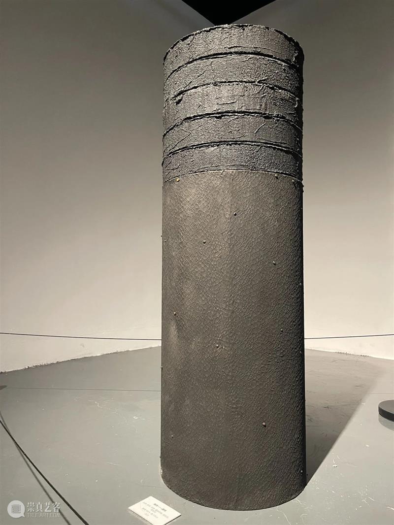 评论丨曾静、柳淳风:尘光——谭大利艺术展 崇真艺客