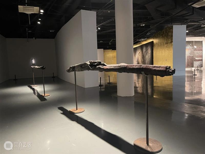 评论丨曾静、柳淳风:尘光——谭大利艺术展 崇真艺客
