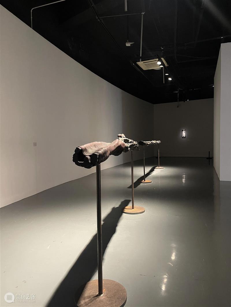 评论丨曾静、柳淳风:尘光——谭大利艺术展 崇真艺客