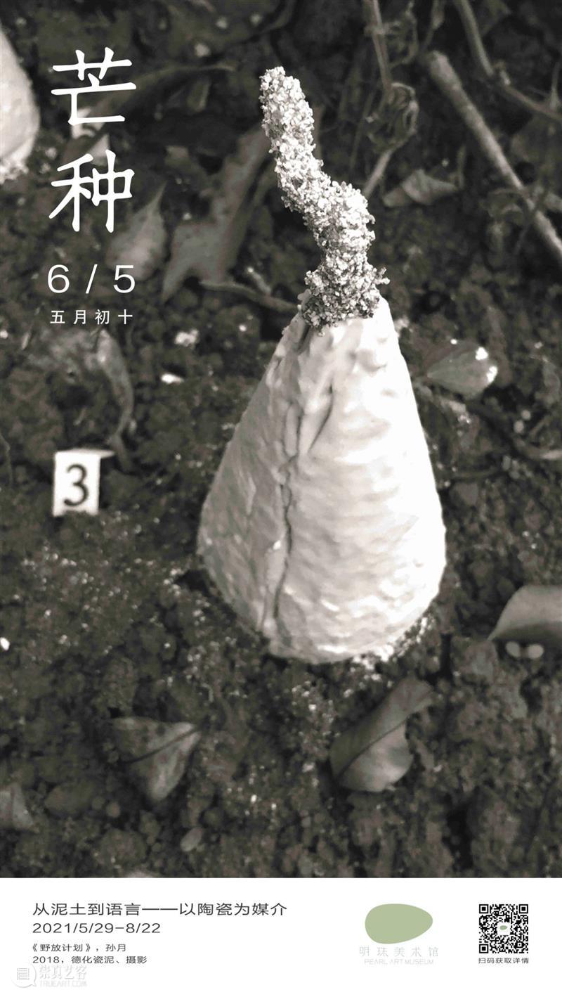 芒种 崇真艺客