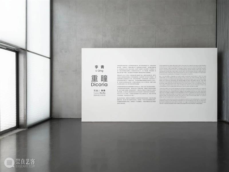 Cloud Archive | 李青:重瞳 by 朱朱 崇真艺客