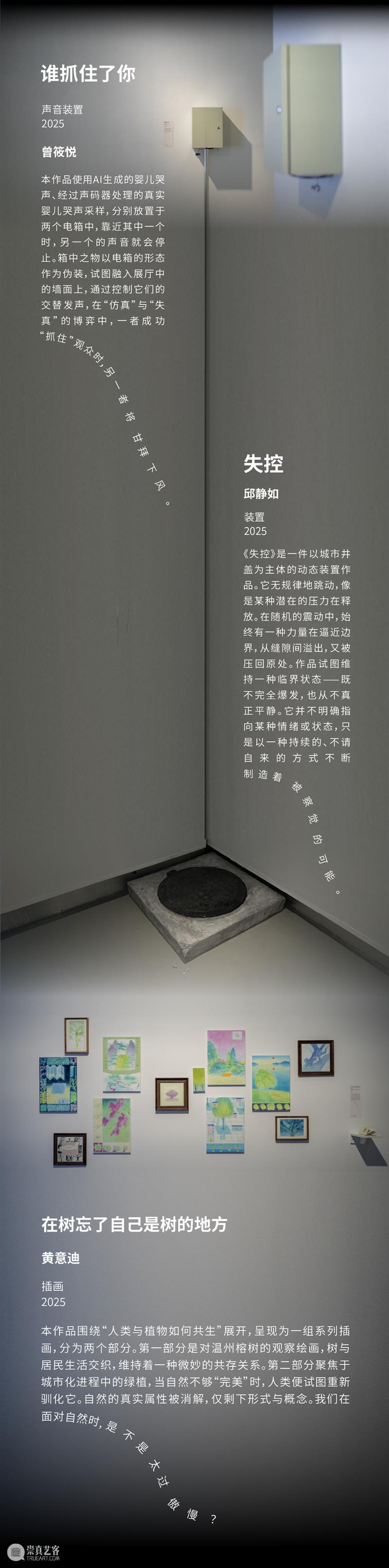 自由落体 Free Fall|2025届跨媒体艺术学院自由艺术工作室毕业展现场 崇真艺客
