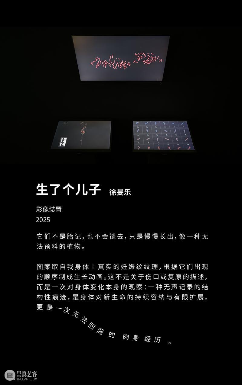 自由落体 Free Fall|2025届跨媒体艺术学院自由艺术工作室毕业展现场 崇真艺客