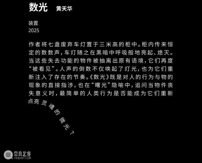 自由落体 Free Fall|2025届跨媒体艺术学院自由艺术工作室毕业展现场 崇真艺客