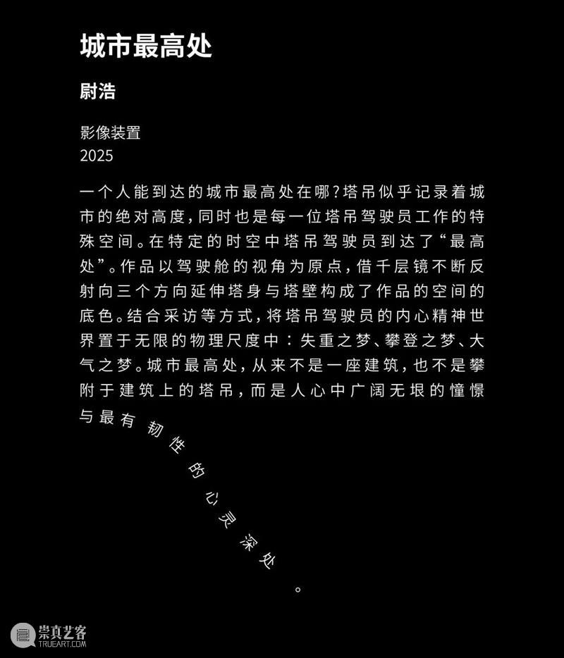 自由落体 Free Fall|2025届跨媒体艺术学院自由艺术工作室毕业展现场 崇真艺客
