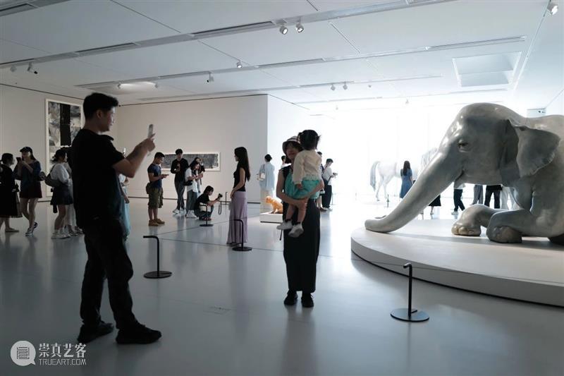 开幕 | “第三届GDMoA年度艺术家学术提名展”开幕式在广东美术馆新馆举办 崇真艺客