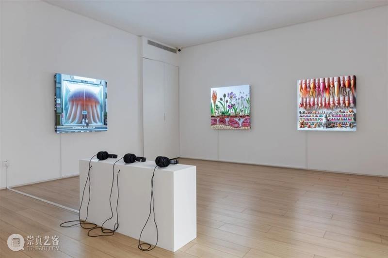 MG Space |  “Niceaunties” 展览现场 崇真艺客
