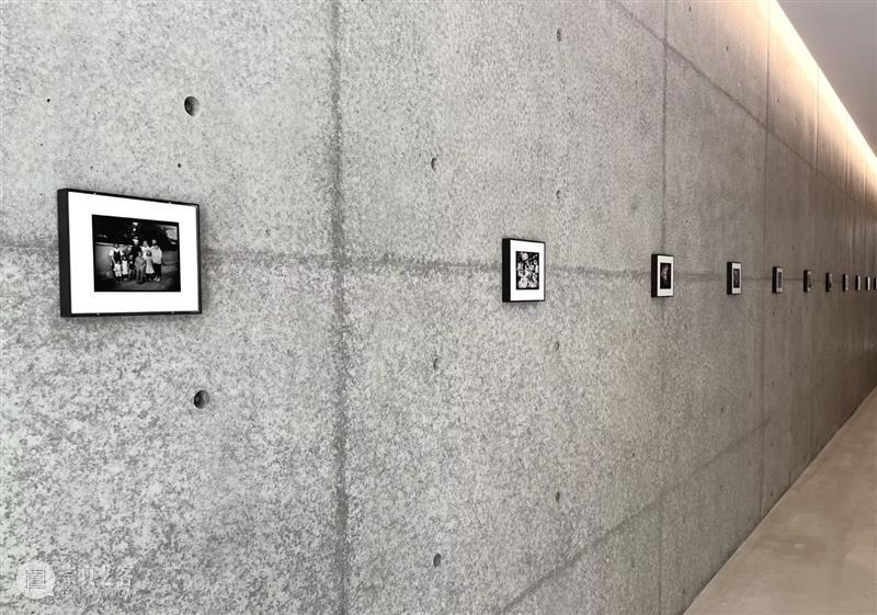 直岛新美术馆首展_从原点迈向未来 | 国家美术·关注 崇真艺客