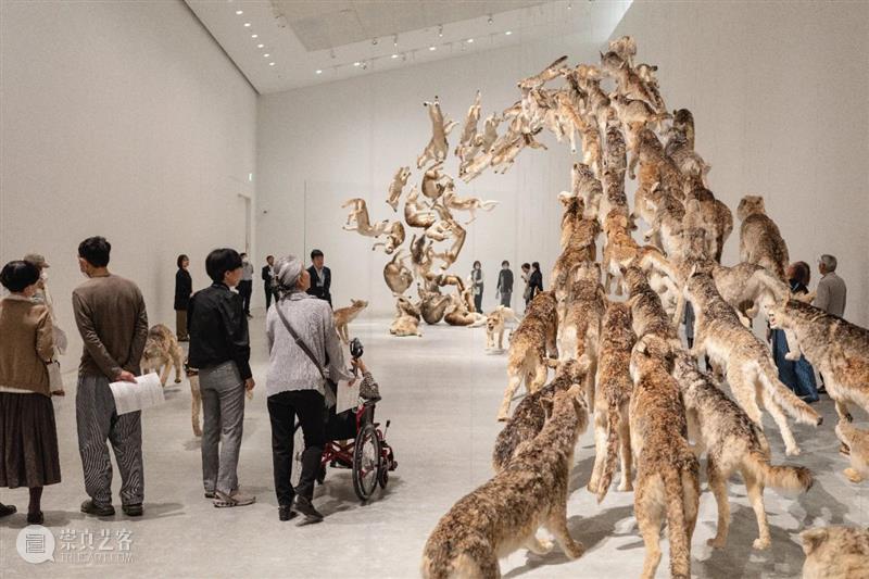 直岛新美术馆首展_从原点迈向未来 | 国家美术·关注 崇真艺客