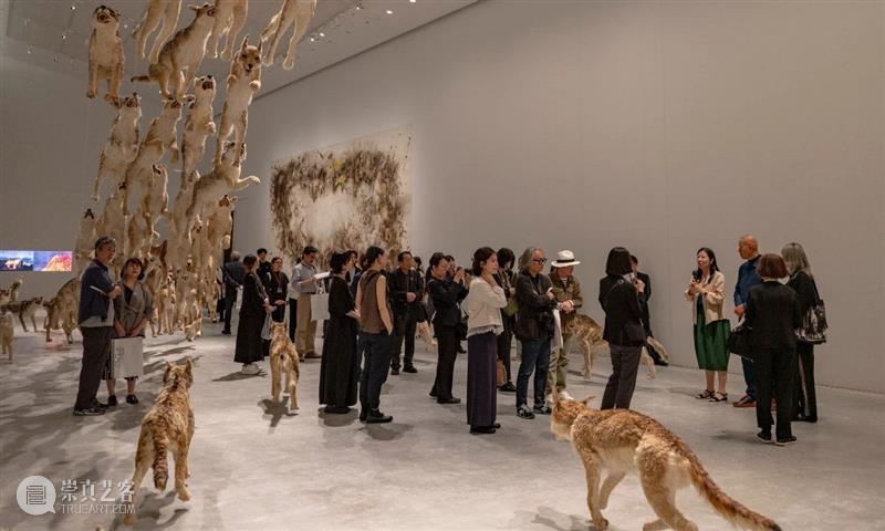 直岛新美术馆首展_从原点迈向未来 | 国家美术·关注 崇真艺客