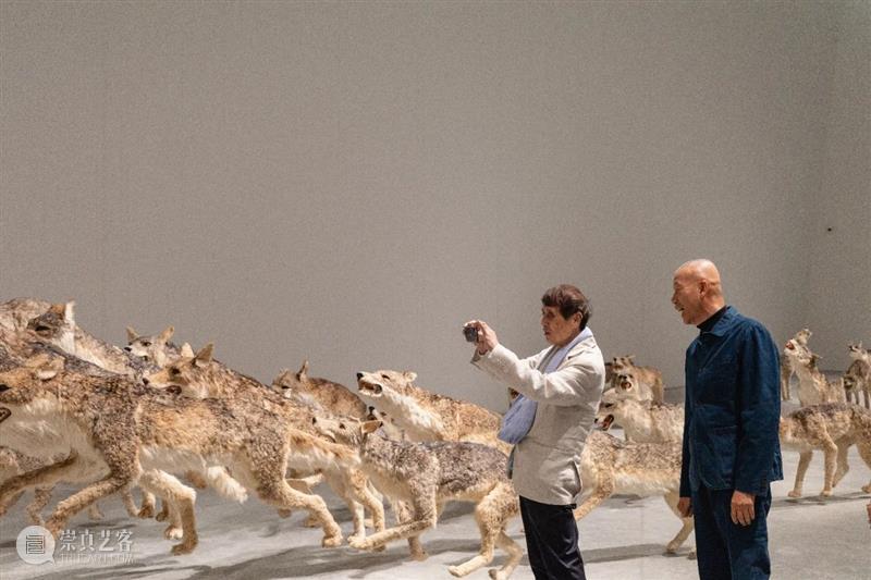 直岛新美术馆首展_从原点迈向未来 | 国家美术·关注 崇真艺客