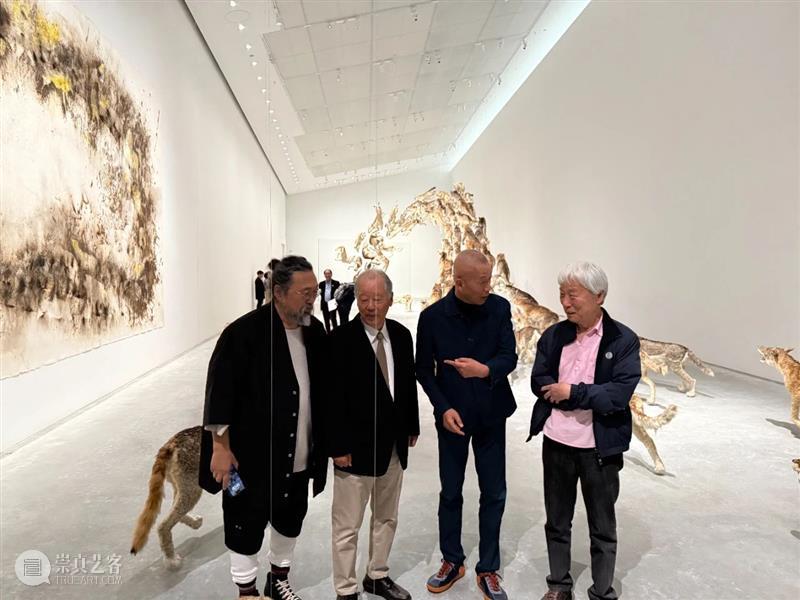 直岛新美术馆首展_从原点迈向未来 | 国家美术·关注 崇真艺客