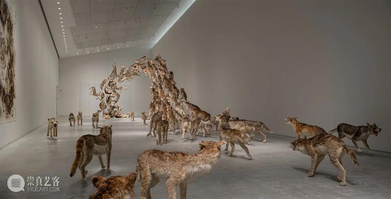 直岛新美术馆首展_从原点迈向未来 | 国家美术·关注 崇真艺客