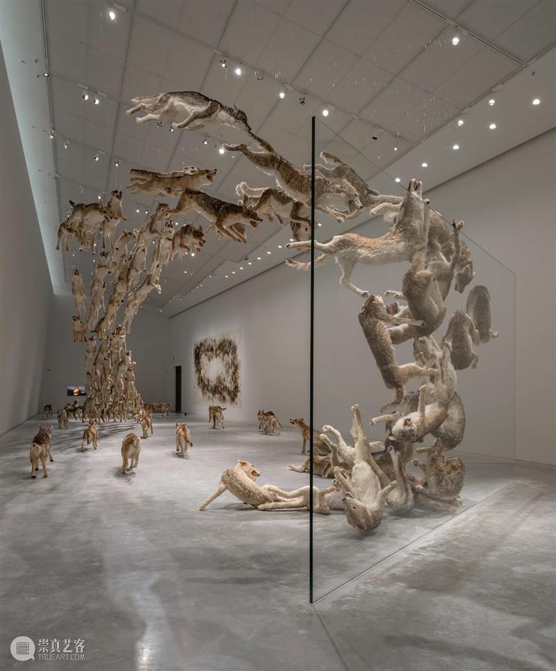 直岛新美术馆首展_从原点迈向未来 | 国家美术·关注 崇真艺客