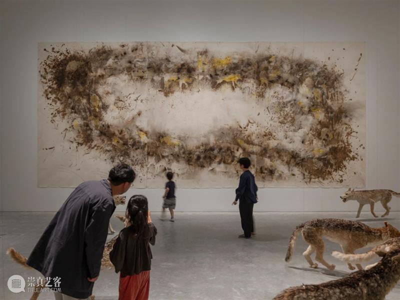 直岛新美术馆首展_从原点迈向未来 | 国家美术·关注 崇真艺客