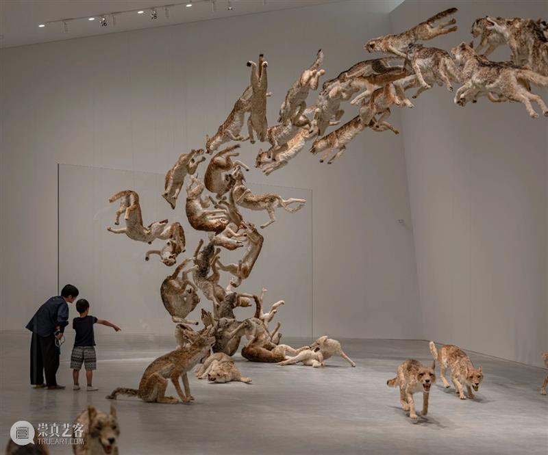 直岛新美术馆首展_从原点迈向未来 | 国家美术·关注 崇真艺客