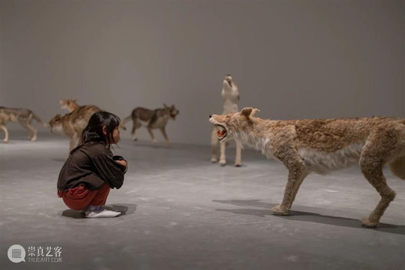 直岛新美术馆首展_从原点迈向未来 | 国家美术·关注 崇真艺客