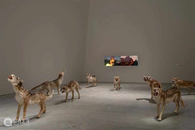 直岛新美术馆首展_从原点迈向未来 | 国家美术·关注 崇真艺客