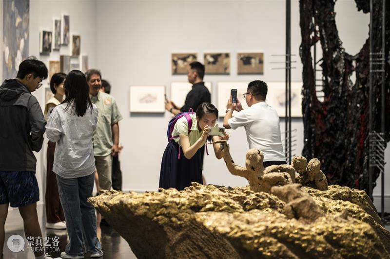 新展开幕｜艺科融合?青春宣言：清华大学美术学院2025届本科生毕业作品展对外开放 崇真艺客