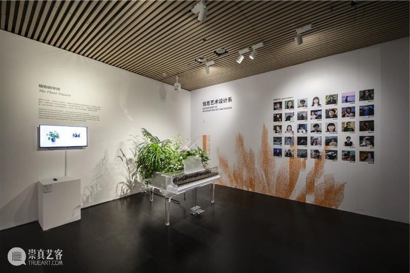 新展开幕｜艺科融合?青春宣言：清华大学美术学院2025届本科生毕业作品展对外开放 崇真艺客