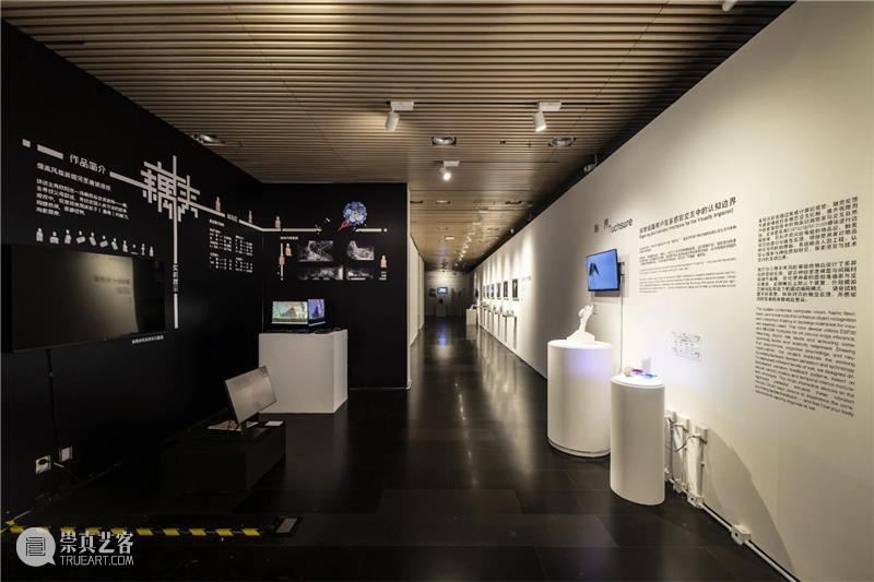 新展开幕｜艺科融合?青春宣言：清华大学美术学院2025届本科生毕业作品展对外开放 崇真艺客