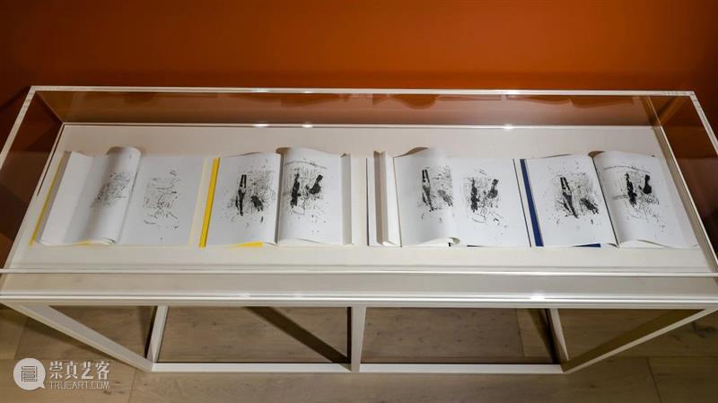 比利安娜·思瑞克|情境策展:书籍作为艺术创作媒介 崇真艺客