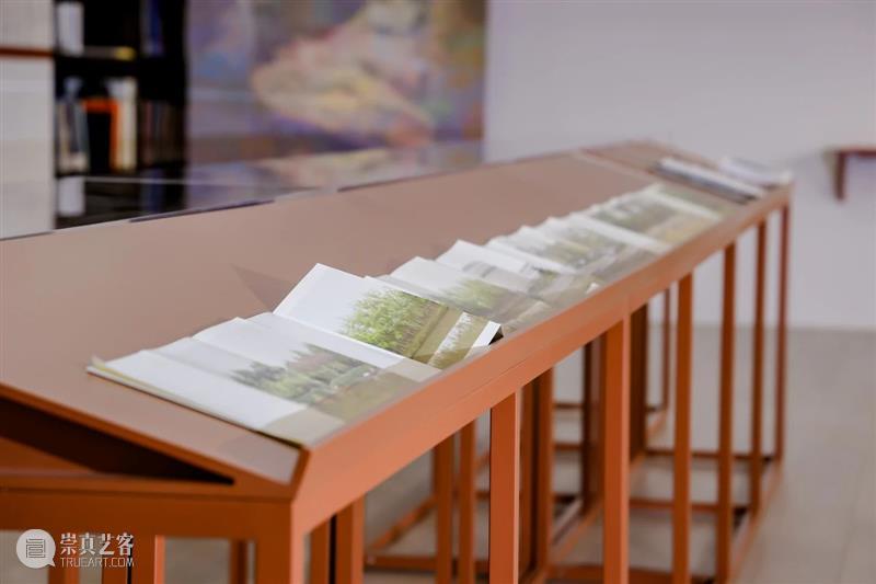 比利安娜·思瑞克｜情境策展：书籍作为艺术创作媒介 崇真艺客
