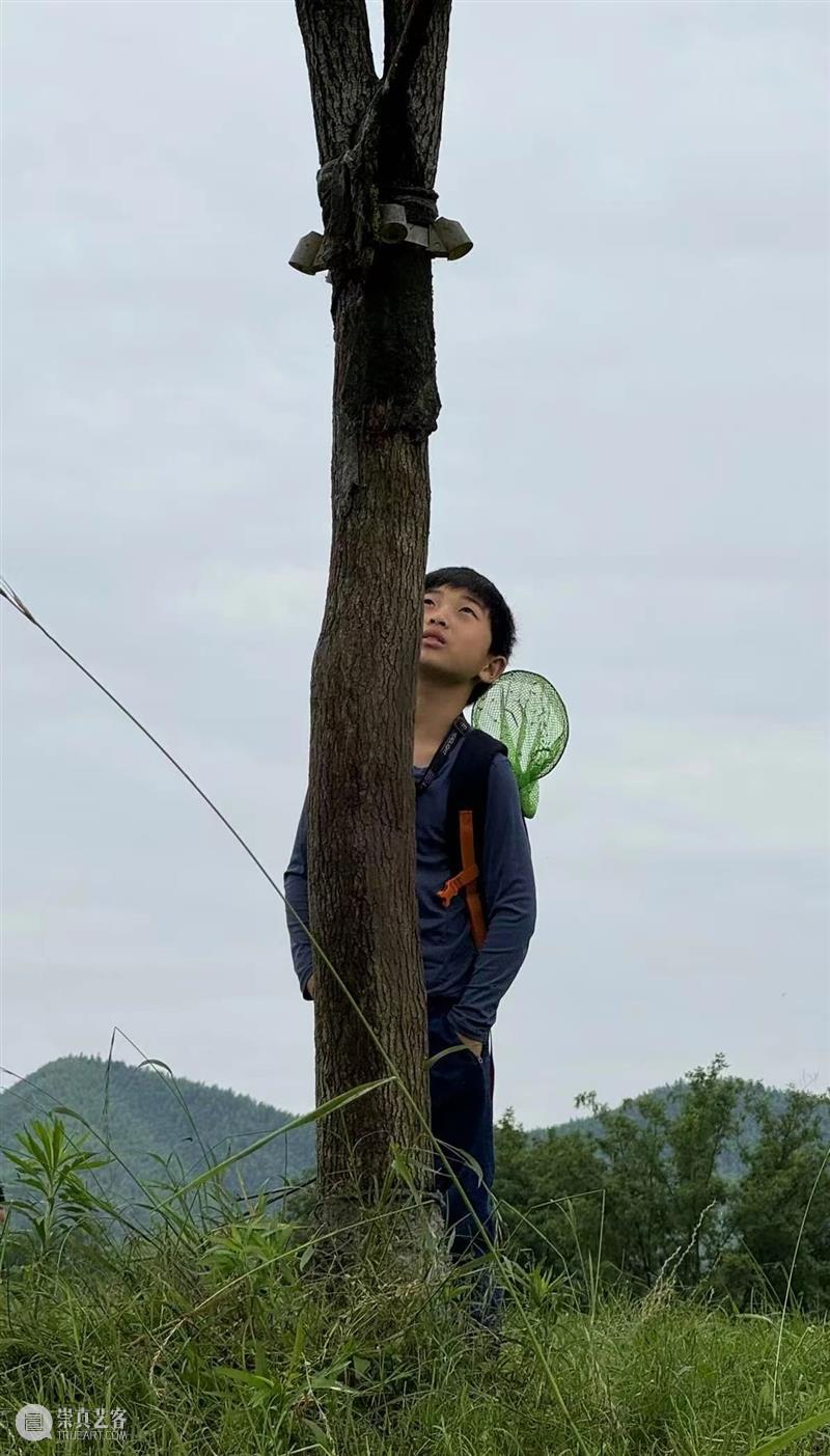 小小怀念下刚刚过去的春天 崇真艺客
