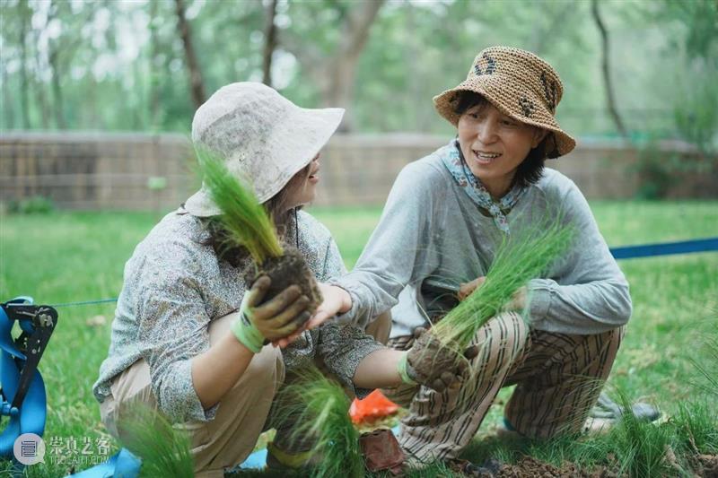 GM回顾 | 让自然与艺术在童真中生长 崇真艺客