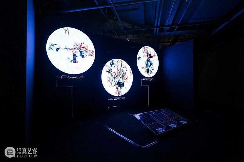 HOW混合智能艺术季｜《后窗·寓言》参展艺术家纠缠的他者及更多作品介绍 崇真艺客