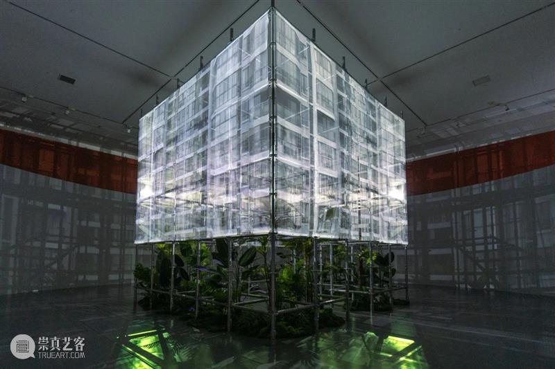 展讯丨何以景观——鲁杨艺术展 崇真艺客