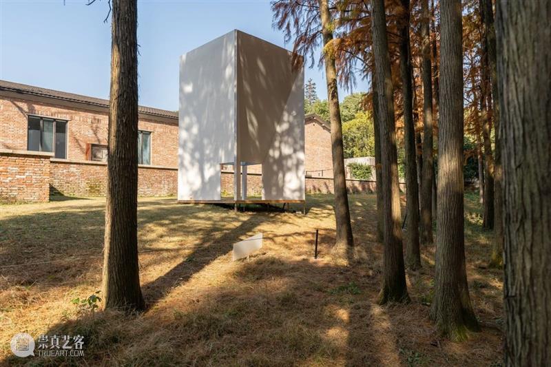 展讯丨何以景观——鲁杨艺术展 崇真艺客