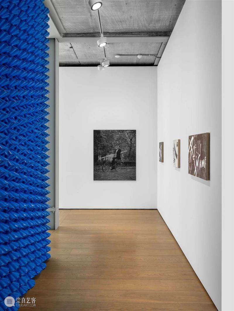 展览现场|格雷戈尔·希德布兰特(Gregor Hildebrandt)「在错误的一侧,朝错误的方向」@ 阿尔敏·莱希 - 伦敦 崇真艺客