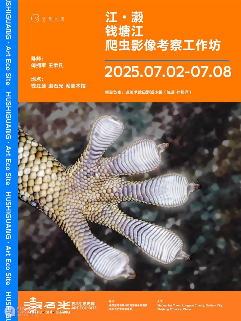 “江·瀫”钱塘江爬虫影像考察工作坊｜泥美术馆田野派小组x瀫石光 崇真艺客
