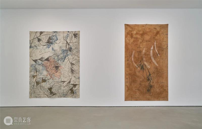 阅读｜STIRworld报道：朱迪·沃森在阿那亚艺术中心展开祖地记忆的地图绘制  北岸馆 崇真艺客