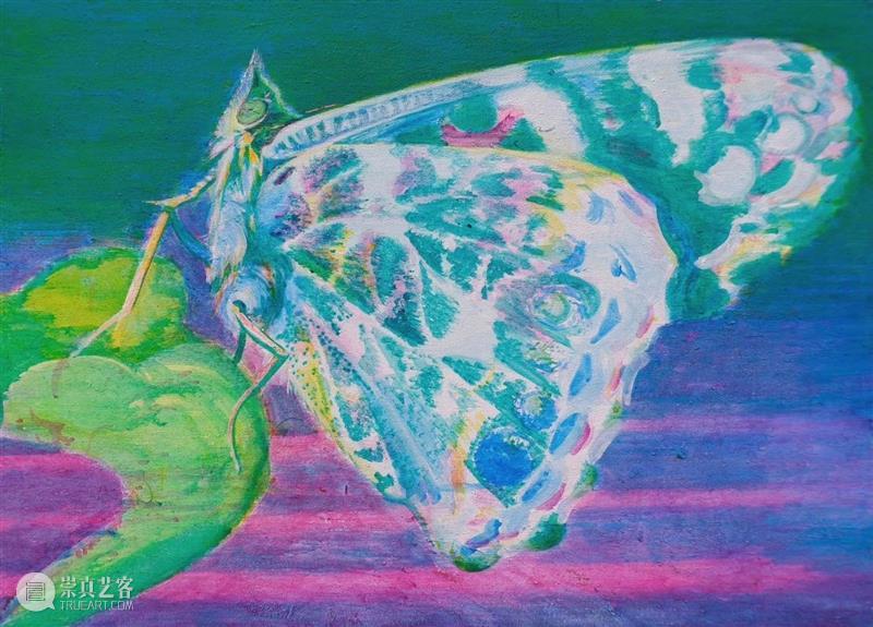 HHAM 展览 | 武非凡:陈晓聪个展展评 崇真艺客