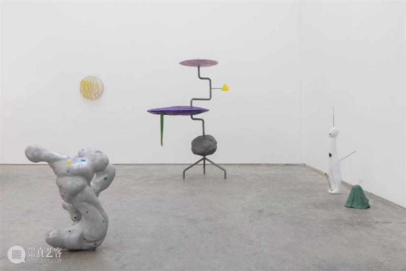娜布其与汉克·维奇双个展:人&物 崇真艺客