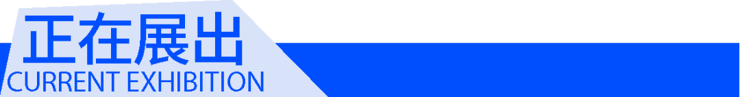 开幕回顾|在“深海”中打捞自由的微光 崇真艺客