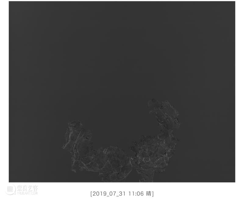 2025巴塞尔_动荡时代的定海针 | 国家美术·关注 | 巴塞尔 国家 美术 时代 艺术 现场 外景 ARTS 意象 疆界 崇真艺客