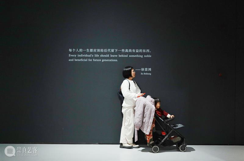 “往来千载一悲鸿——徐悲鸿诞辰一百三十周年纪念展”圆满落幕 崇真艺客