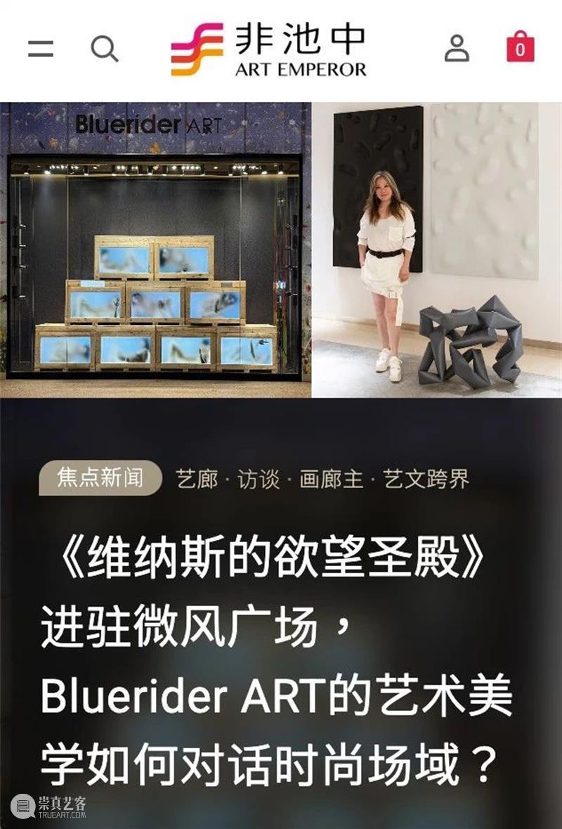 蓝骑士台北｜王薇薇 Elsa Wang 专访  时尚与艺术的紧密连结 非池中艺术 崇真艺客