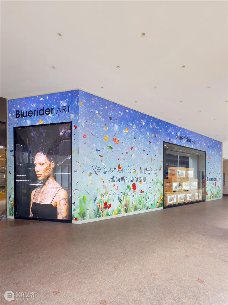 蓝骑士台北｜王薇薇 Elsa Wang 专访  时尚与艺术的紧密连结 非池中艺术 崇真艺客