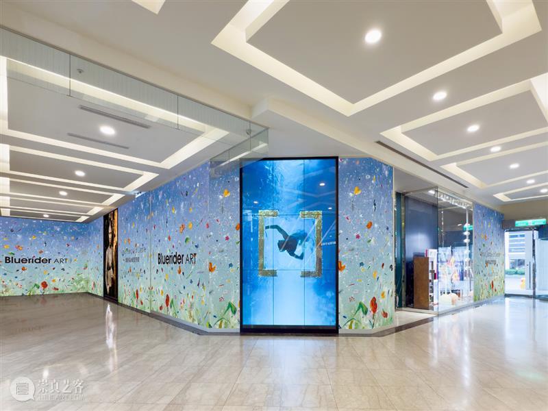 蓝骑士台北｜王薇薇 Elsa Wang 专访  时尚与艺术的紧密连结 非池中艺术 崇真艺客